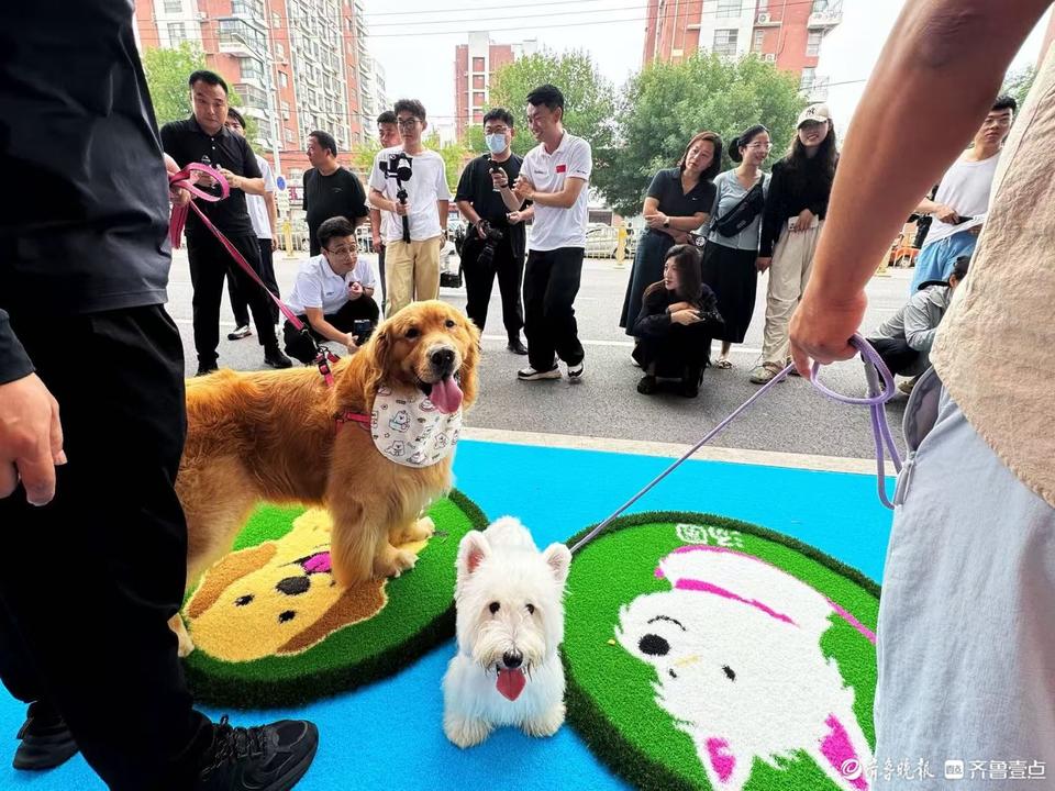 智能生产线 智能生产线