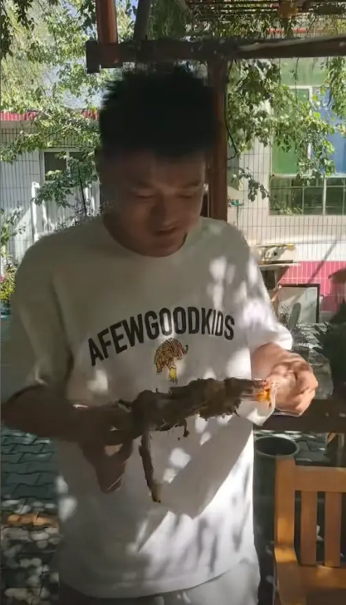着动作, 张地吃, 篮的比赛 着动作, 张地吃, 篮的比赛