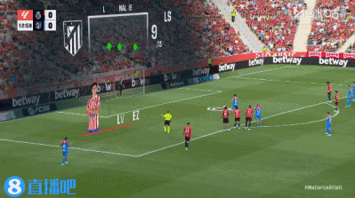 dingy, net dingy, net